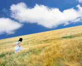 自​动​Web安​全‌工﻿具‌